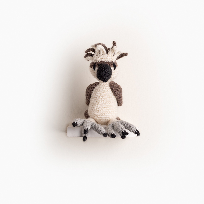 Struan the Osprey